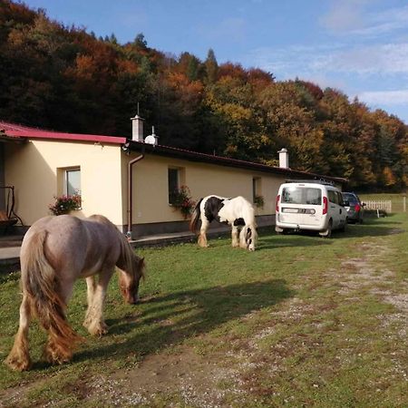 Oddychovy Pobyt Na Rodinnej Farme Matiaska Exteriör bild