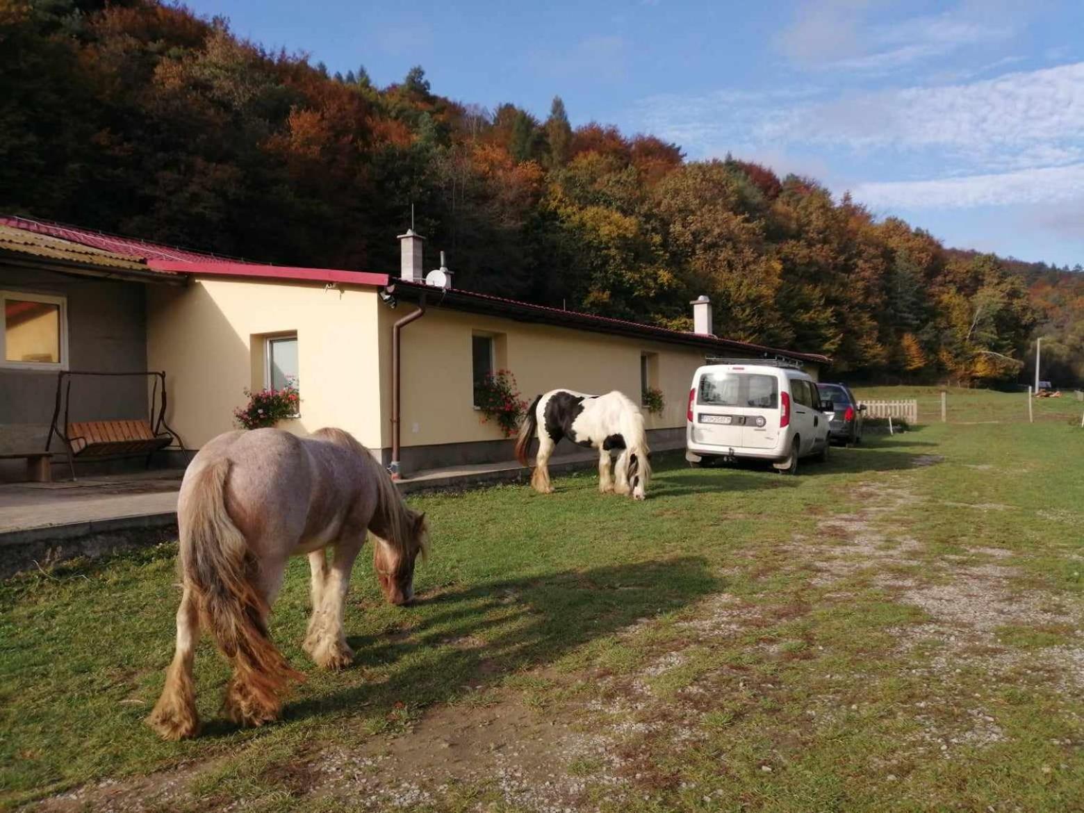 Oddychovy Pobyt Na Rodinnej Farme Matiaska Exteriör bild